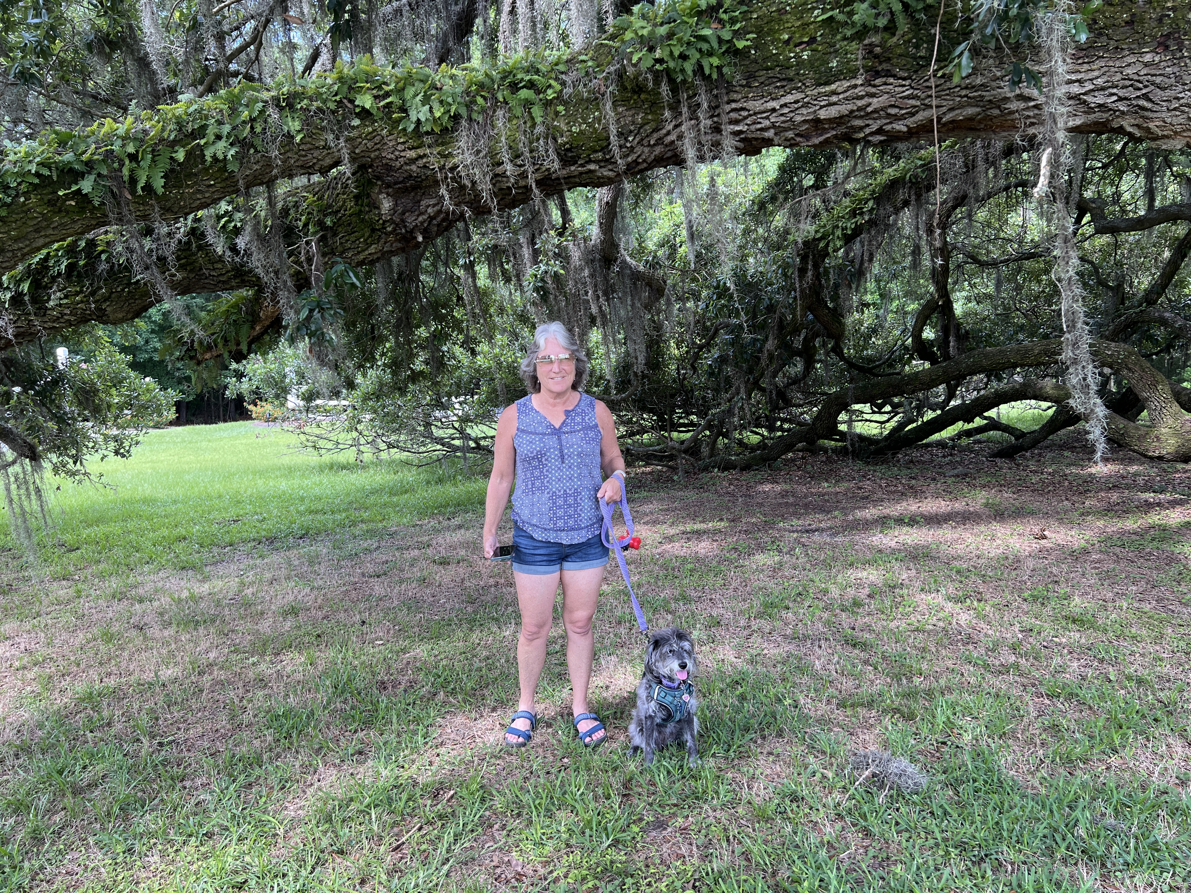 ./2025/06 - Savannah/IMG_5858.JPG